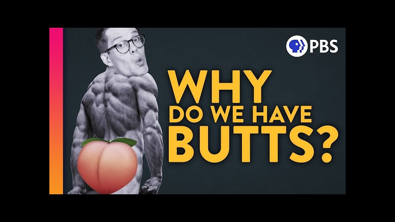 A Brief (Scientific) History of Butts