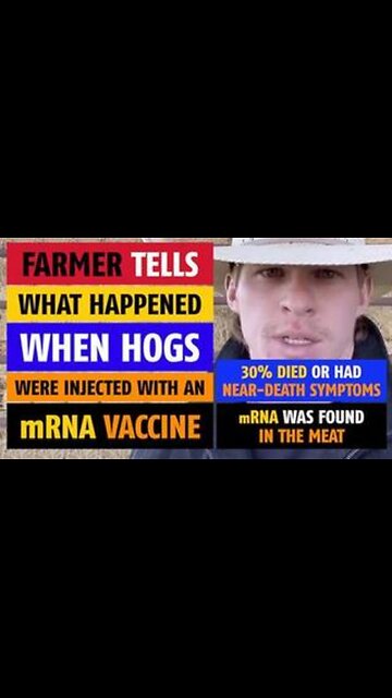 Farmer tells what happened when hogs were injected with a mRNA vaccine