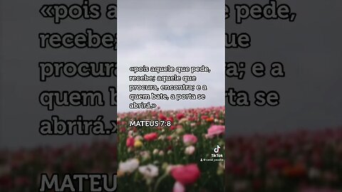 Mateus 7:8 #canalyausha