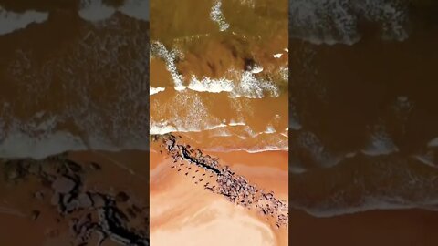 Waves on the beach are beautiful from above