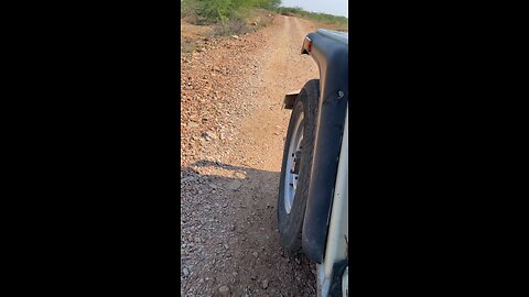 Jeep offroading