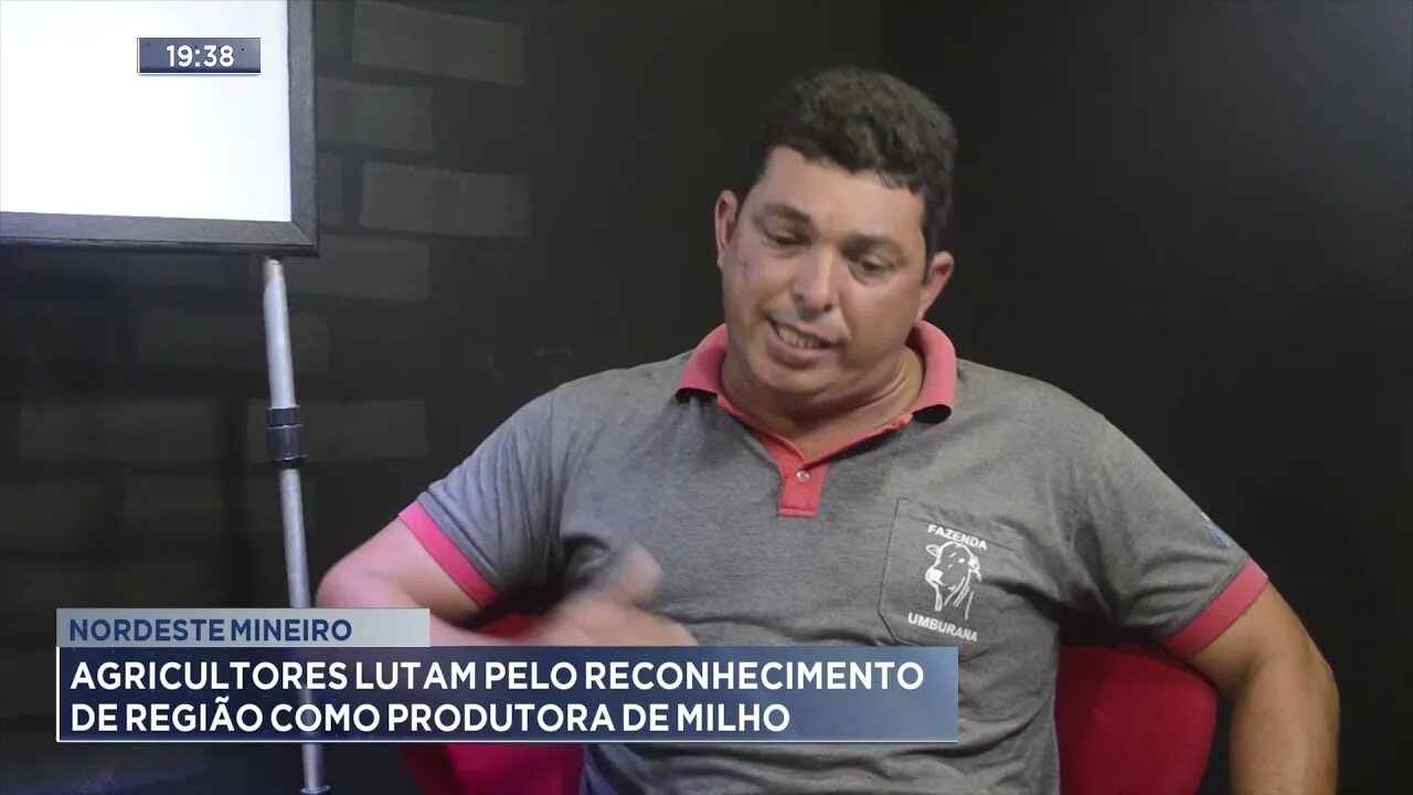 Nordeste Mineiro: Agricultores lutam pelo reconhecimento de região como produtora de milho