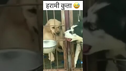 nagaagawan ng pagkain