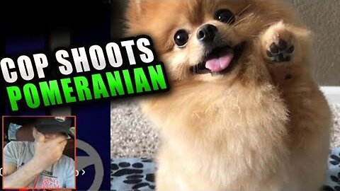 SCARED COP SHOOTS AT POMERANIAN HITS OWNER WHO CALLED FOR HELP