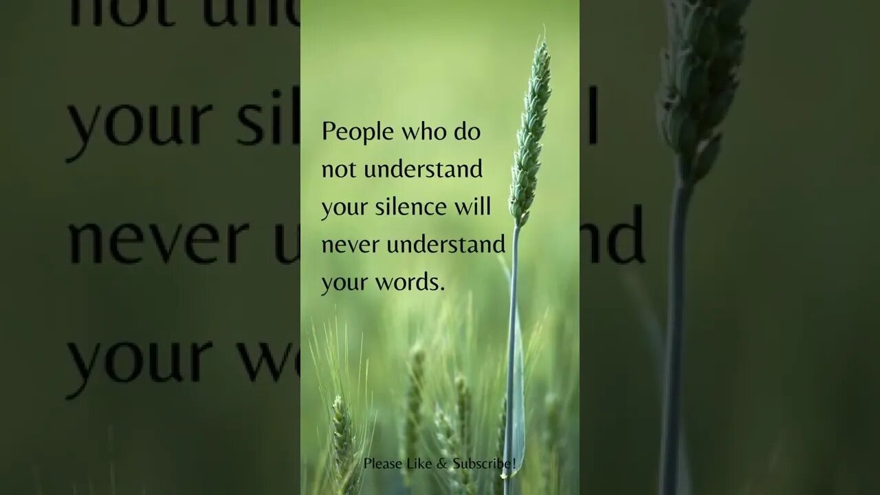 People Who Do Not Understand Your Silence