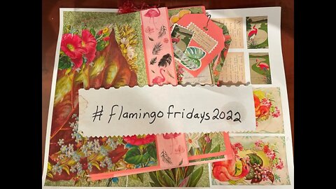 #flamingofridays2022 Day 5