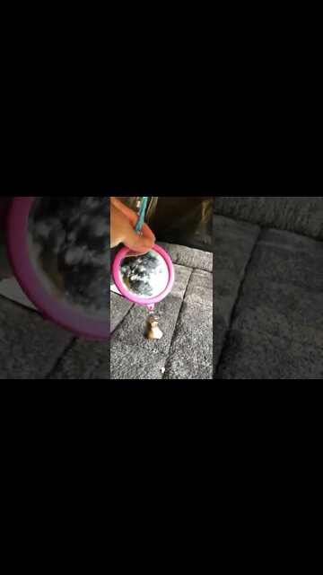 Disabled guinea fowl coop set up