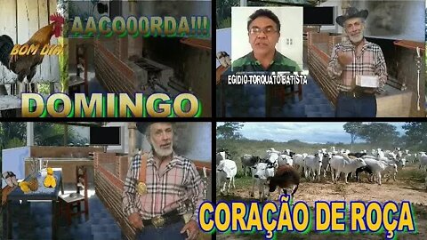 CORAÇÃO DE ROÇA É DOMINGO NÃO PERCAM,