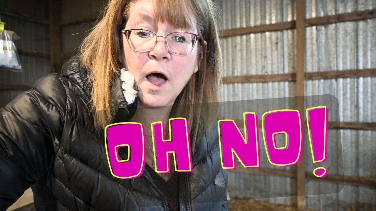 Bad News About One Of Our Farm Animals!