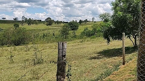 Natureza - Brasil vídeo 2 📷