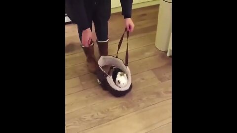 This is the best thing I have seen today❤🥰