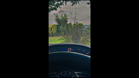 Beautiful Peacock Dancing infront of car