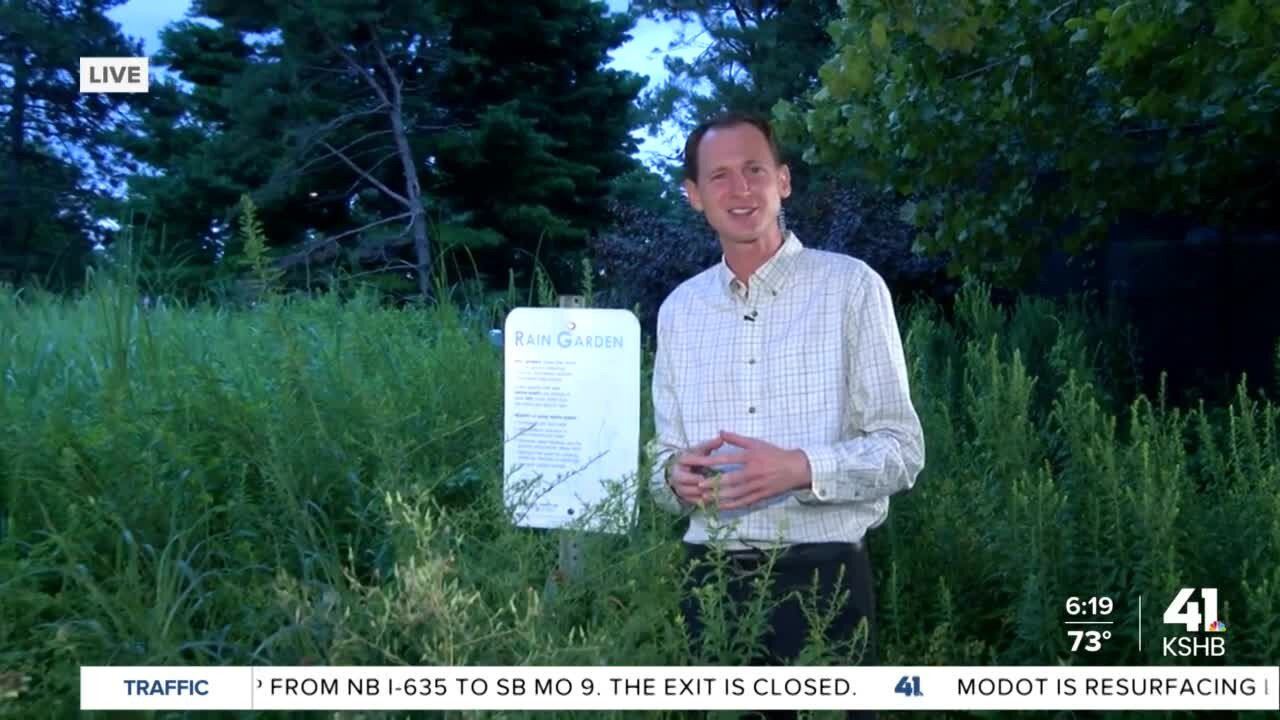 Money available when you "Contain the Rain"