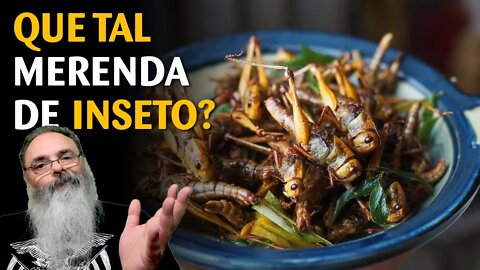 PAÍS DE GALES quer ensinar CRIANÇAS de 5 a 11 anos a COMER INSETO