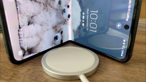 Z Flip3 & MagSafe...?