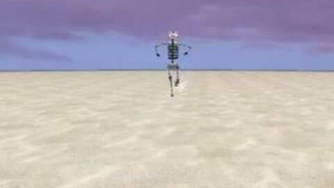 Robot Run