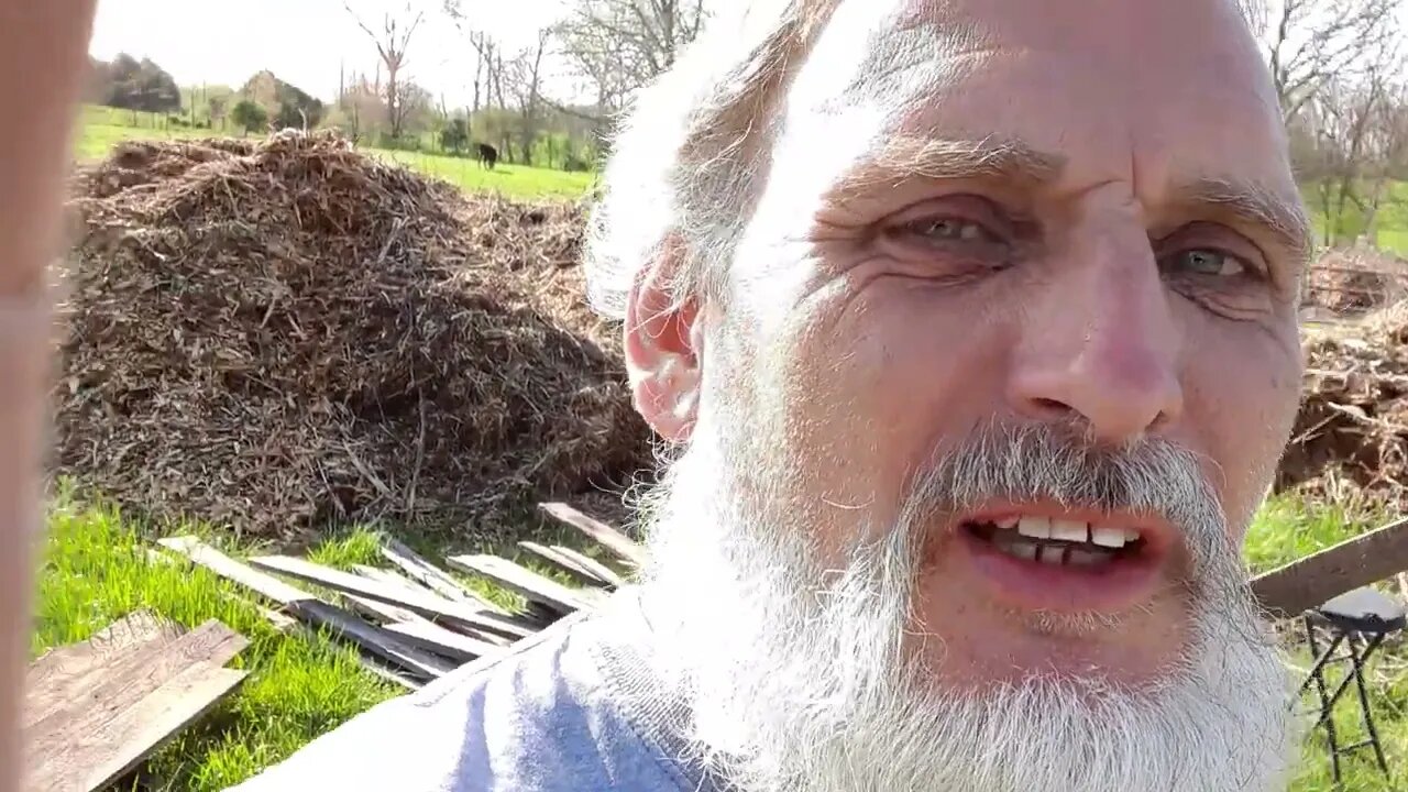 Pulling Nails is Today's Project