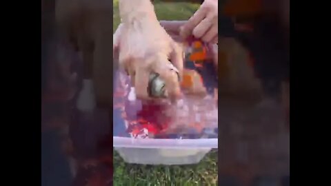 Crocs become spectacular with water paint dip