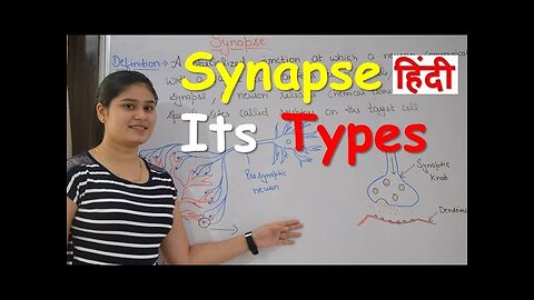 Synapse Physiology in Hindi | Types | Classification of synapse | Functions