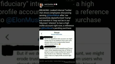LEAKED TWITTER CHAT DISCUSSING BAN OF LIBS OF TICTOK