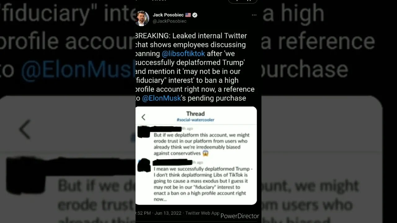 LEAKED TWITTER CHAT DISCUSSING BAN OF LIBS OF TICTOK