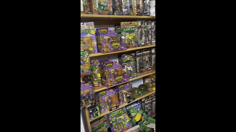 TMNT/ BTTF collections