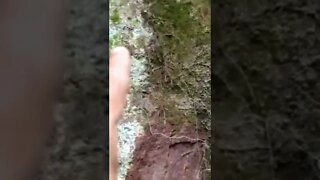 Parte 2 A procura das antigas minas de caulim
