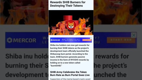 Shiba Inu New Burn Portal Rewards #cryptomash #cryptonews #cryptoupdates #shibainu #viral #trending