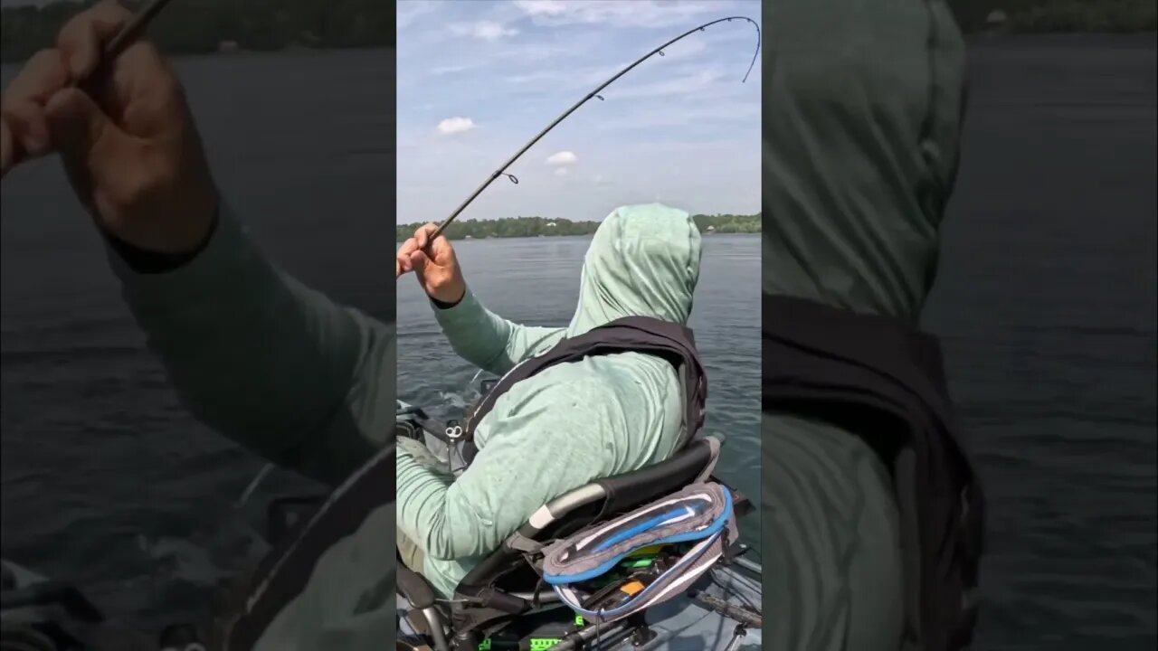 Is THIS the Biggest Smallmouth Bass of My Life?!