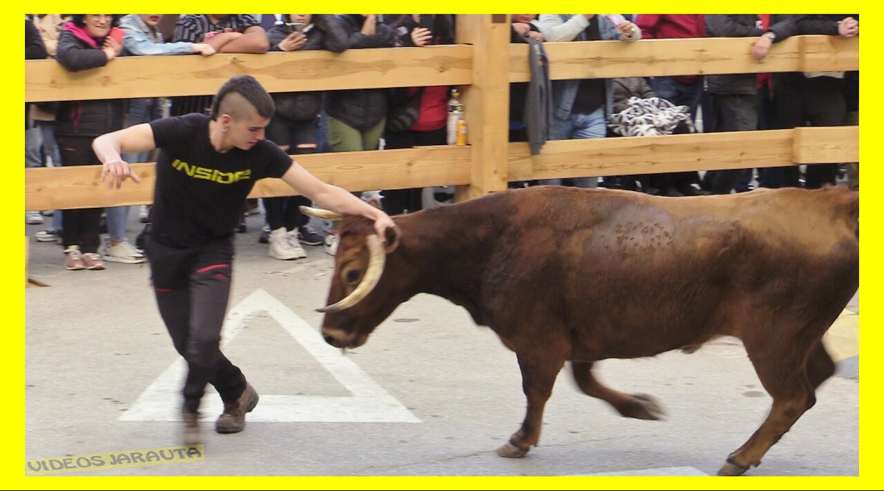 FUNES ( NAVARRA ) TARDE VACAS CALLE ( SABADO 18 MARZO 2023 ) P.DOMINGUEZ