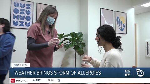 Feeling sniffly? Changing weather brings early allergy season