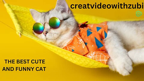 THE BEST CUTE AND FUNNY CAT VIDEOS