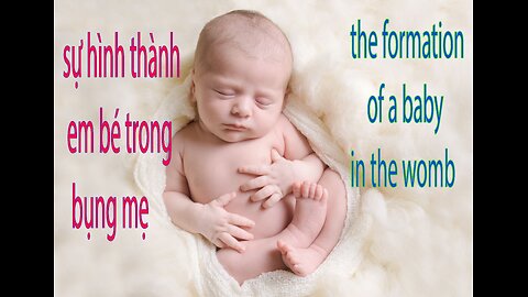 step by step for the fetus to mature in the womb -Emotional Mess music