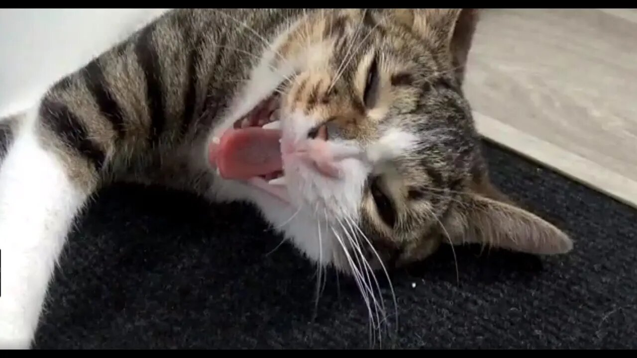 The Guise of Innocent Slumber