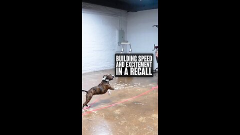 Building Speed and Excitement In A Recall