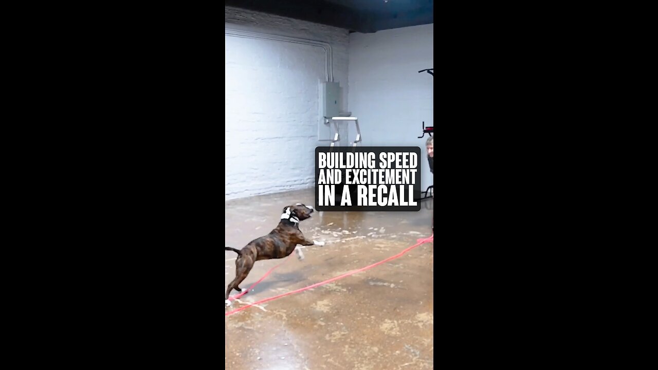 Building Speed and Excitement In A Recall