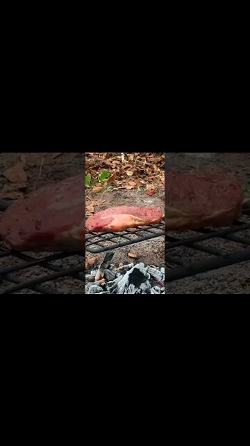 Bushcraft Swinging Grill: Steak #Shorts