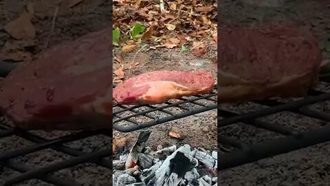 Bushcraft Swinging Grill: Steak #Shorts