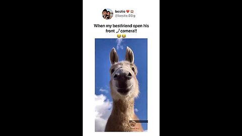 Just for fun 😂😂