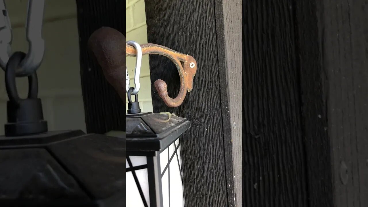 Everyone gets there 🕯 Balanced with nature🦎#shorts #viral #tiktok #trending