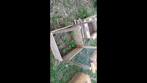 Garden Entry 4/28/23