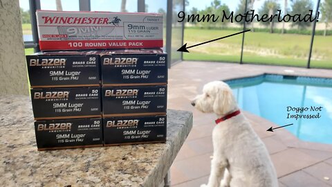 I FINALLY found some 9mm! Plus, 5.56 for LESS THAN 50 cents?? No way!