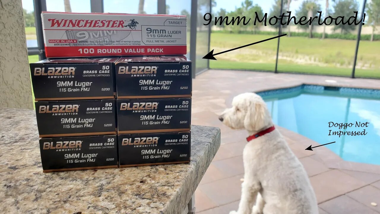 I FINALLY found some 9mm! Plus, 5.56 for LESS THAN 50 cents?? No way!