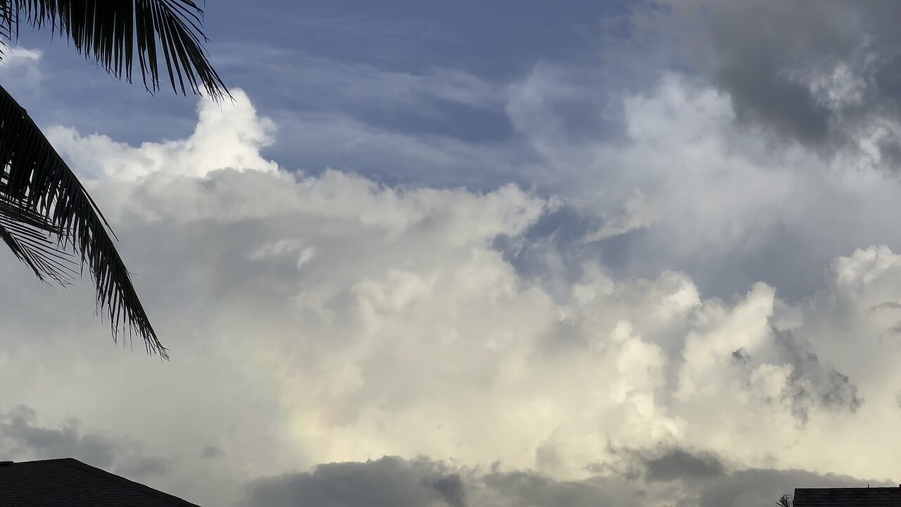 Rainbow In Paradise (Widescreen) #FYP #Rainbow #MarcoIsland #4K #DolbyVision #SmartHDR4