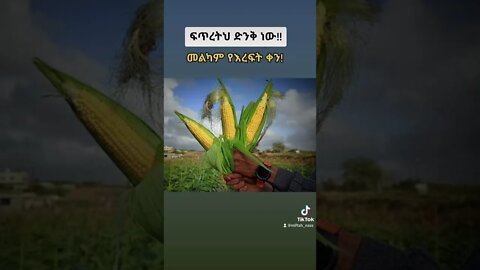 ድንቅ ነው ፍጥረትህ! #eregnaye #seifuonebs #ተዋወቋት