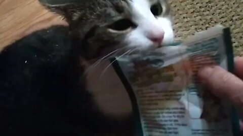 SweetPea and the Nip
