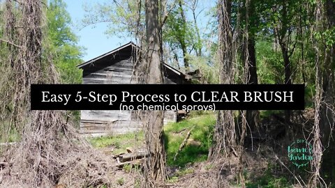 CLEAR BRUSH: An Easy 5 Step Organic Brush Removal Process (no chemical sprays)