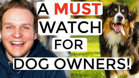 Dog training videos for beginners | New dog owner training + Where to start dog training!