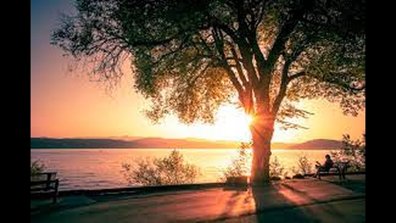 Relaxing Morning to Sunset, Beautiful Beach & Nature, Nature, Meditation & Stress Relief