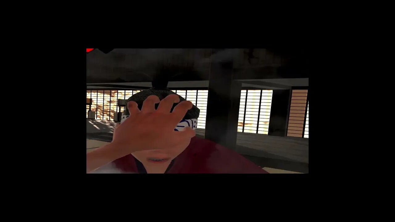 Dragon Fist: VR Kung Fu - v3